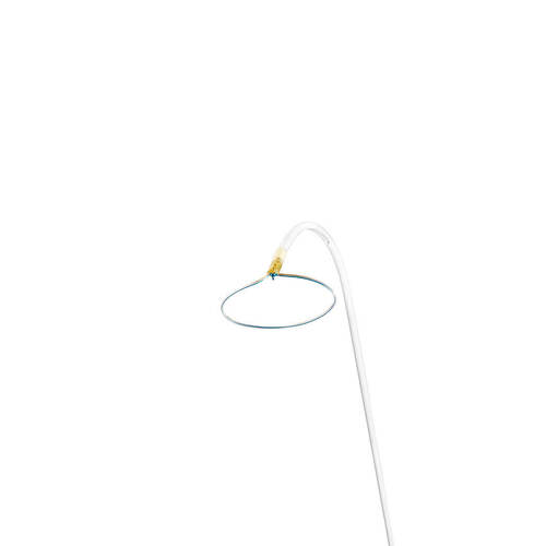 Lariat loop image open C